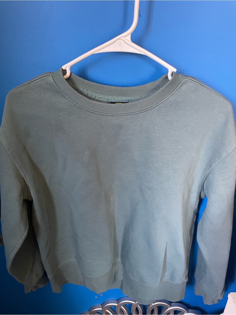 Athletic Works Woman’s Crewneck Sweater in Sage Green